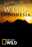 Poster for Destination Wild: Indonesia