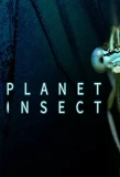 Poster for Planet Insect