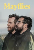 Poster for Mayflies