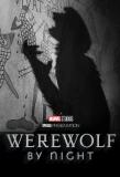 Poster for Marvel Studios' Special Presentation