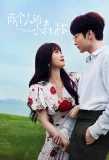 Poster for A Romance of the Little Forest