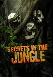 Poster for Secrets in the Jungle