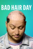 Poster for Bad Hair Day