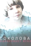 Poster for Соколова подозревает всех