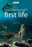 Poster for David Attenborough's First Life