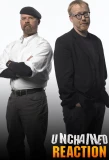 Poster for Unchained Reaction