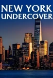 Poster for New York Undercover