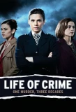 Poster for Life of Crime
