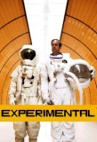 Poster for Experimental