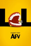 Poster for America's Funniest Home Videos