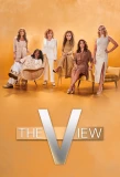 Poster for The View