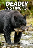 Poster for Deadly Instincts