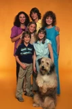 Poster for A New Kind of Family