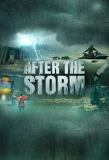 Poster for After the Storm