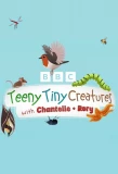 Poster for Teeny Tiny Creatures
