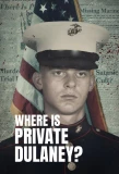 Poster for Where Is Private Dulaney?