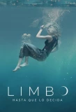 Poster for Limbo