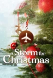 Poster for Julestorm