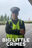 Poster for Big Little Crimes