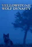 Poster for Yellowstone Wolf Dynasty
