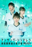 Poster for Unsung Cinderella: Byoin Yakuzaishi no Shohosen