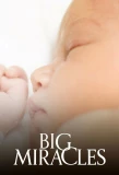 Poster for Big Miracles