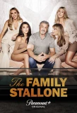 Poster for The Family Stallone