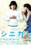 Poster for Shinikare