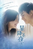 Poster for On a Starry Night