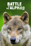 Poster for Battle of the Alphas