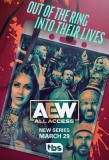 Poster for AEW: All Access