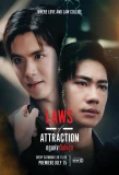 Poster for Laws of Attraction