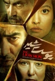 Poster for The Lion Skin