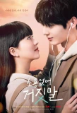 Poster for My Lovely Liar