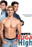 Poster for Sugar Highs