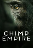 Poster for Chimp Empire