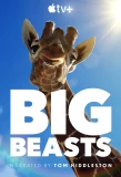 Poster for Big Beasts
