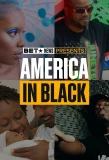Poster for America in Black