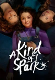 Poster for A Kind of Spark