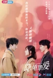 Poster for Hidden Marriage Love