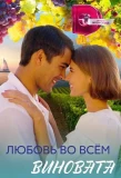 Poster for Любовь во всем виновата