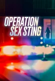 Poster for Operation Sex Sting