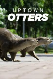 Poster for Uptown Otters