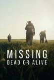 Poster for Missing: Dead or Alive?