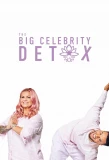 Poster for The Big Celebrity Detox