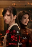 Poster for Burn the House Down