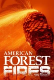 Poster for American Forest Fires: The Untold Story