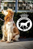 Poster for Goodwoof