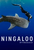 Poster for Ningaloo Nyinggulu