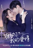 Poster for Love Starts After Divorce